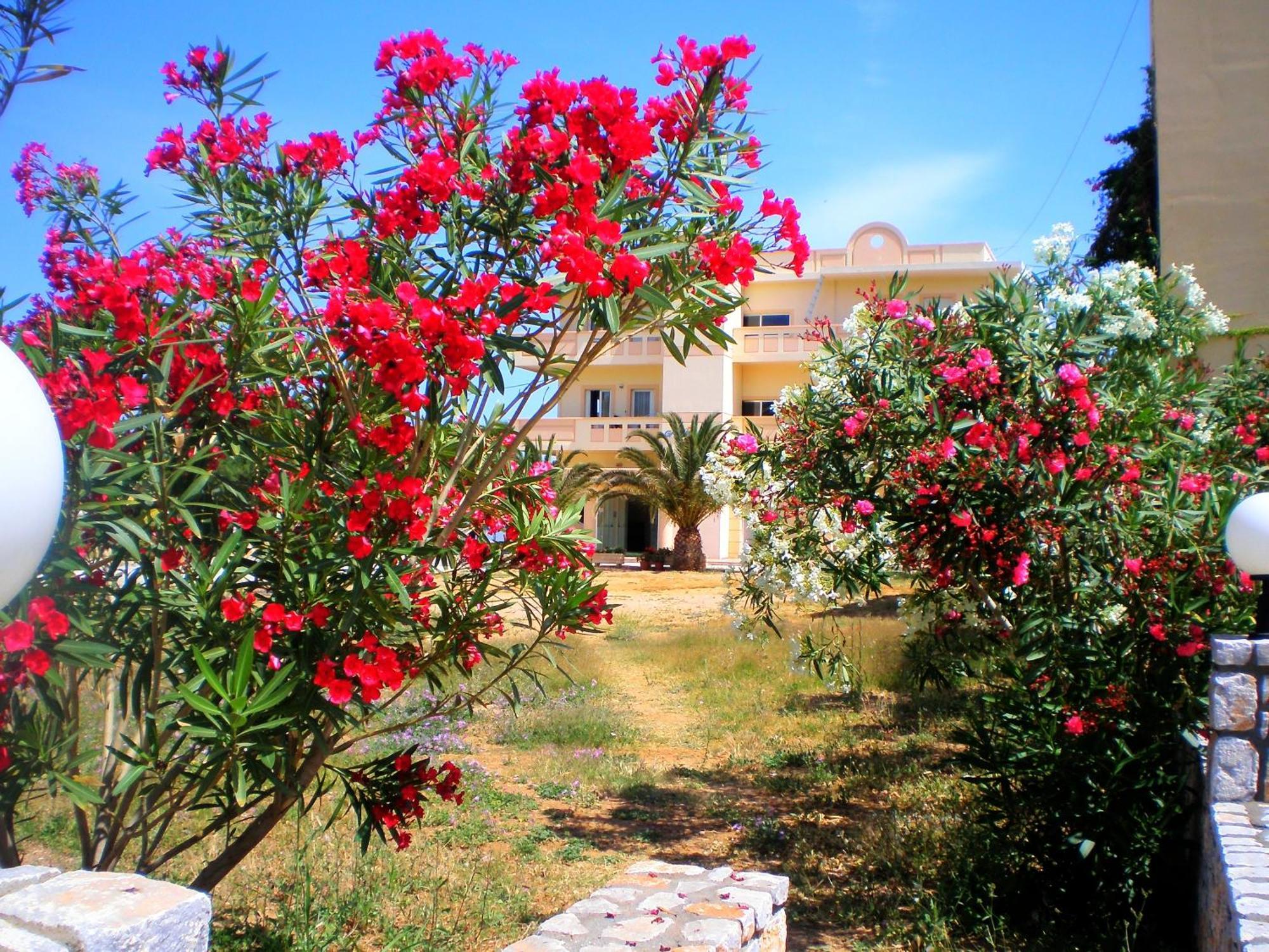 Galini Beach Hotel Kissamos Exterior photo